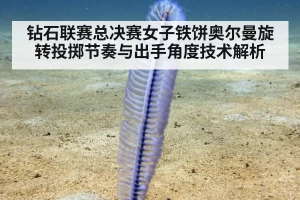 钻石联赛总决赛女子铁饼奥尔曼旋转投掷节奏与出手角度技术解析